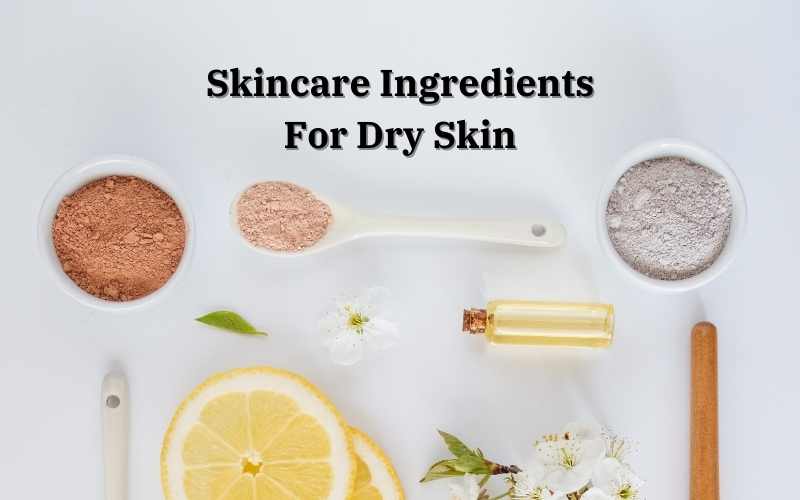 Skincare Ingredients For Dry Skin