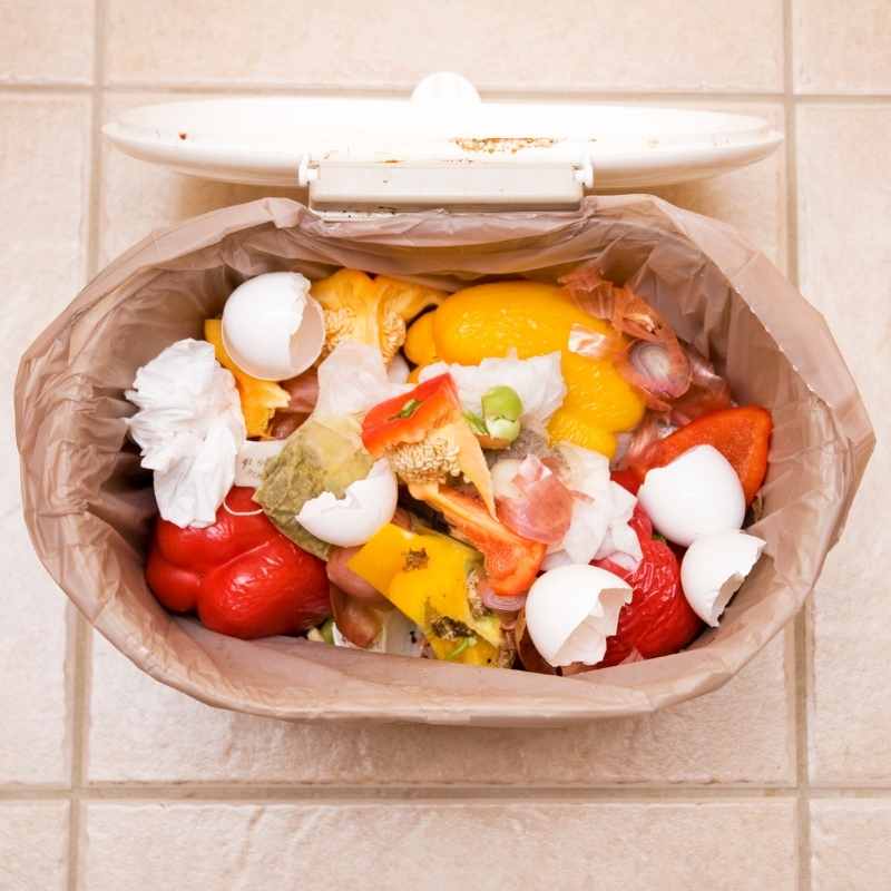 Guide to composting - Beyond Green And Brown