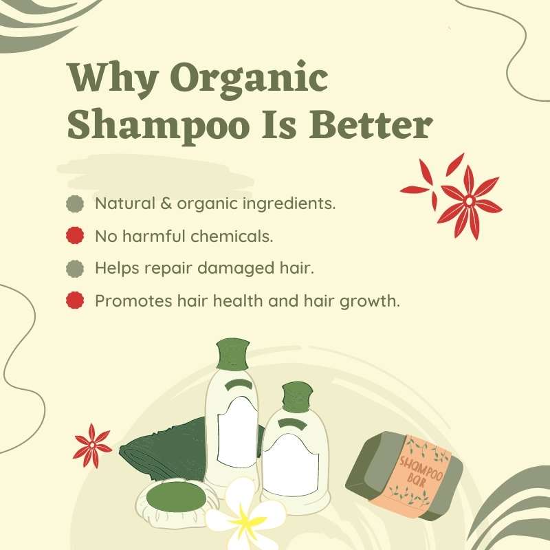 Why Choose The Best Organic Shampoo For Men
