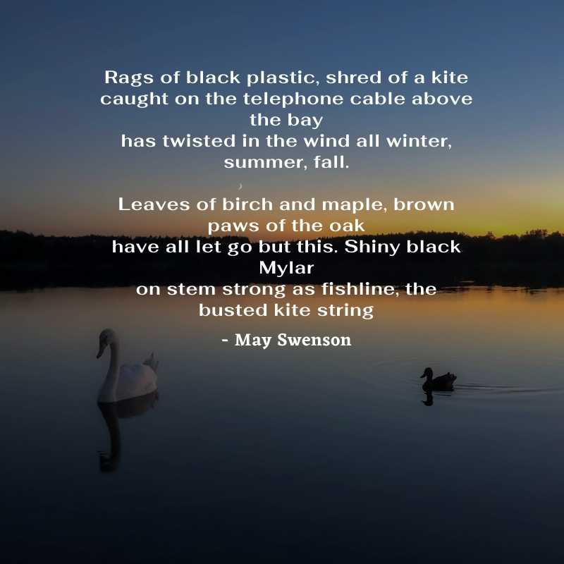 Poems On The Environment - May Swenson
