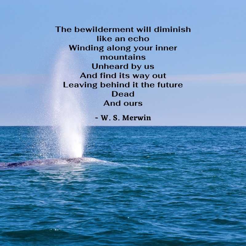 Poems On The Environment - W. S. Merwin