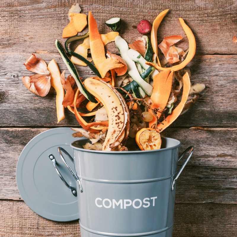 Earth Day - Start Composting