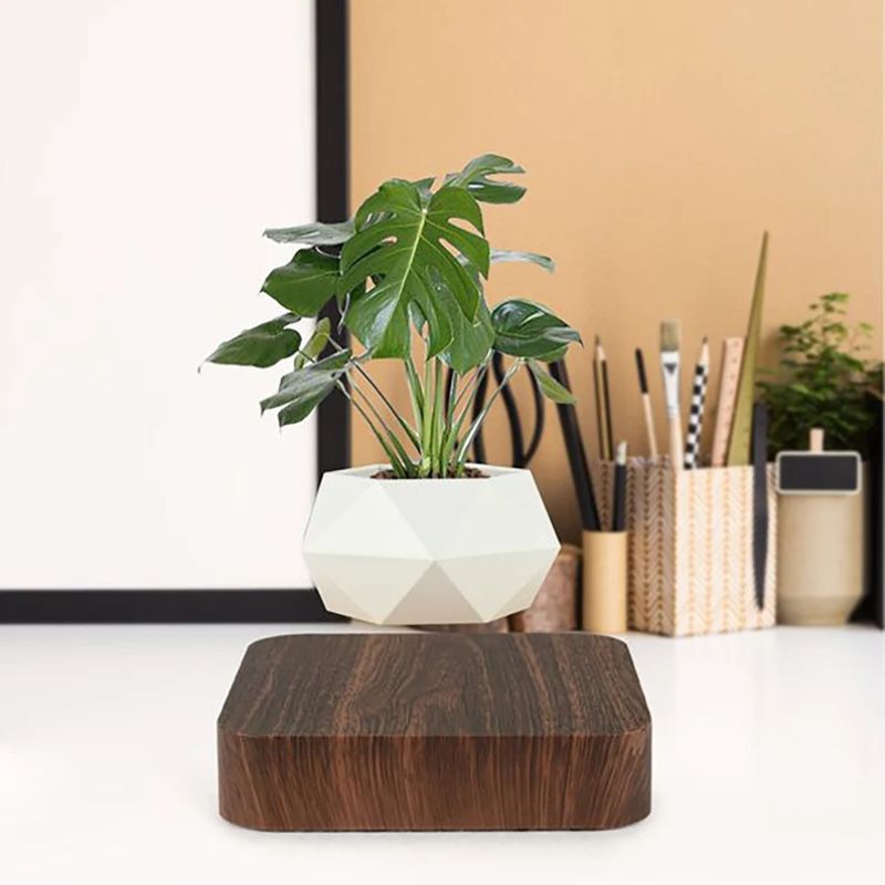 gifts for gardeners - levitating bonsai pot