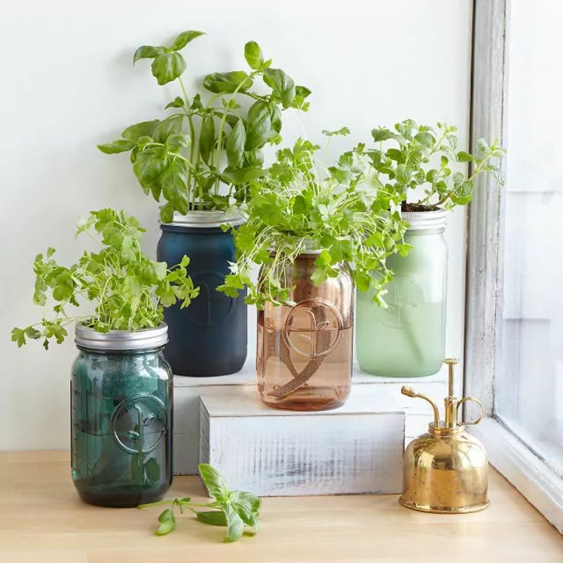 gifts for gardeners - mason jar herb garden