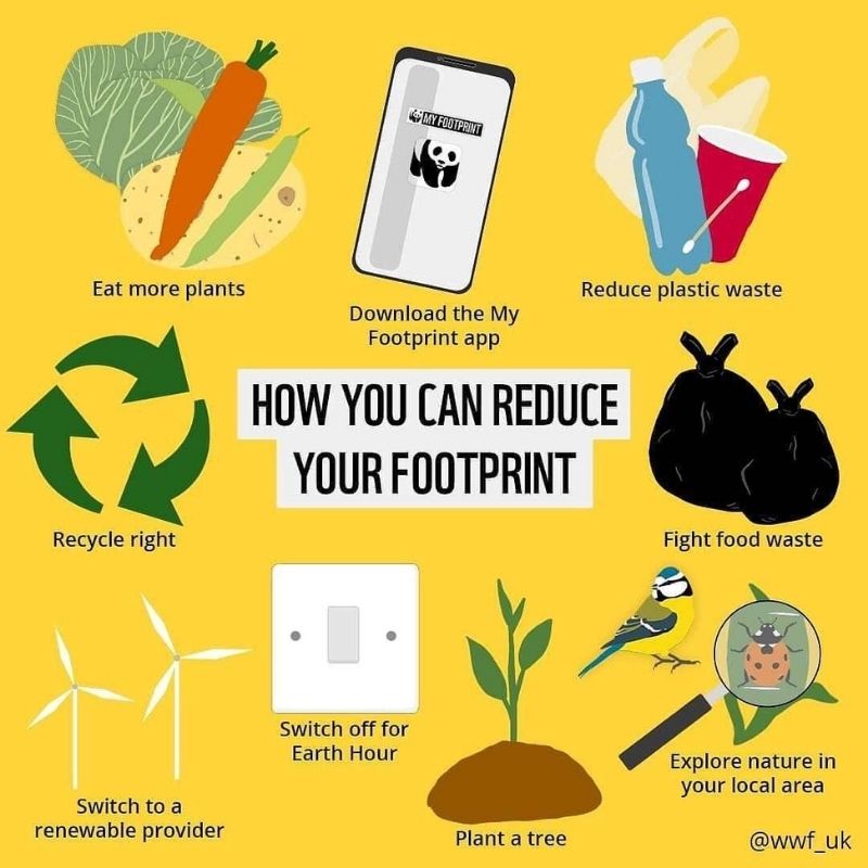 tips to reduce carbon footprint