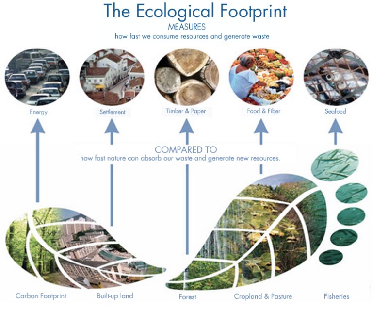 Earth overshoot Day - Ecological Footprint
