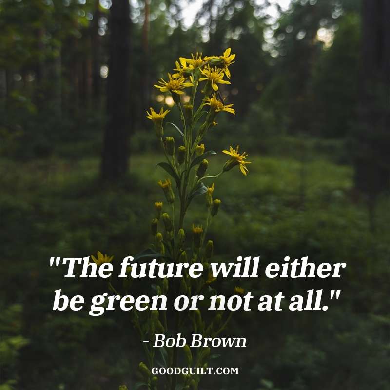 Quotes on Sustainability - Bob Brown