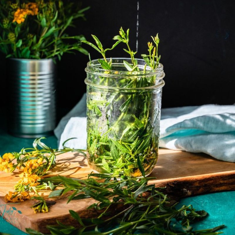 French tarragon kept in a container on the plank
