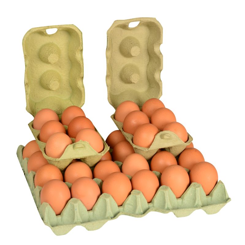 eggs kept in egg carton which are non-recyclable items