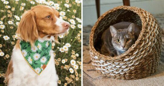 10 Perfect Gifts For The World’s Kindest Pet Owners