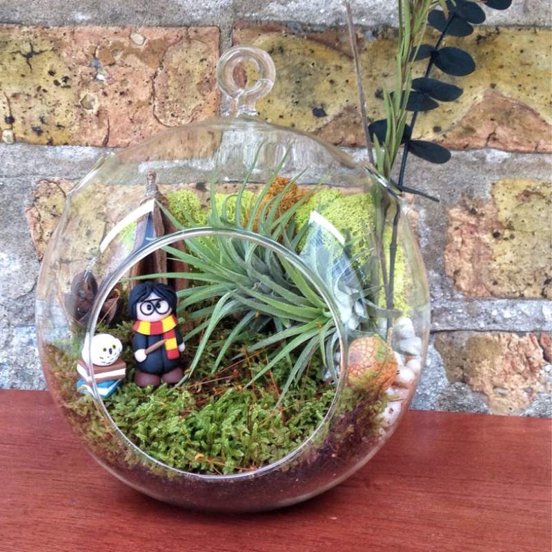 Wizard World Air Plant and Moss Terrarium - gifts for Potter fans