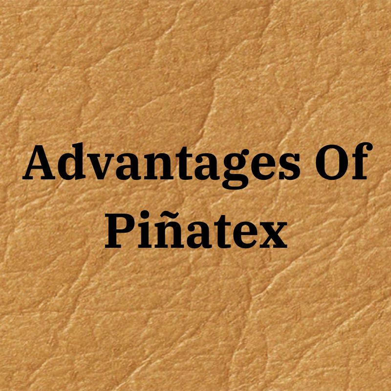 benefits of Piñatex pineapple leather