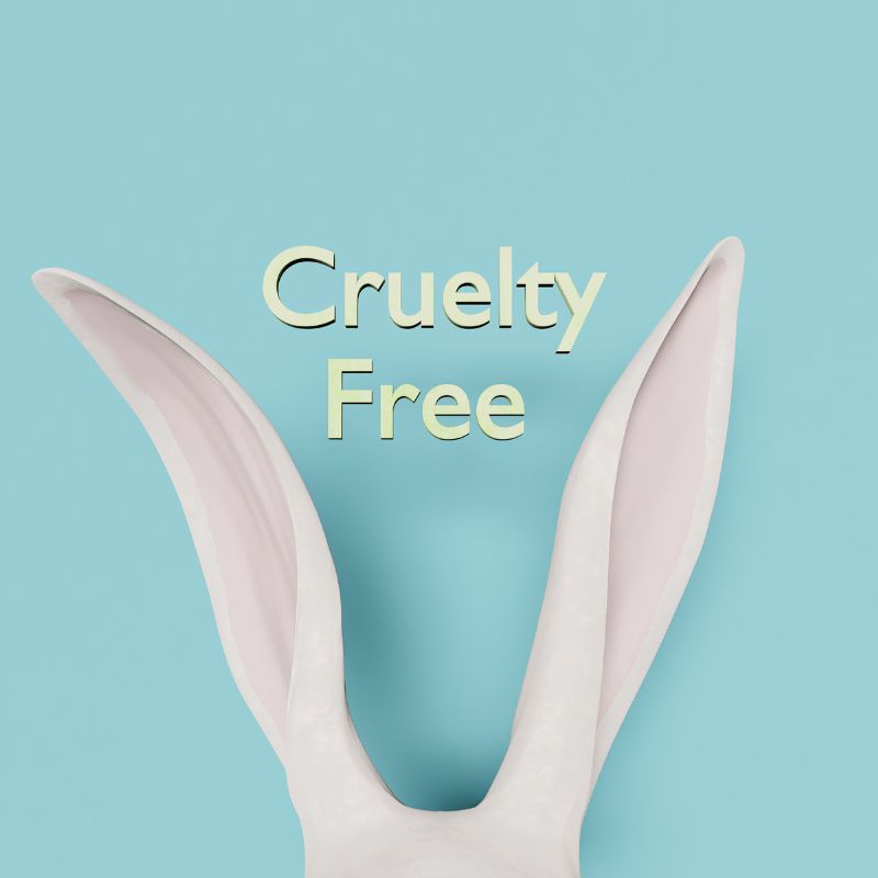 cruelty-free; sustainable fashion terms