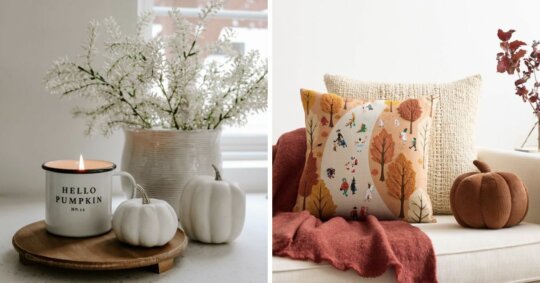 5 Sustainable Fall Decor Ideas To Bring Home The Holiday Spirit