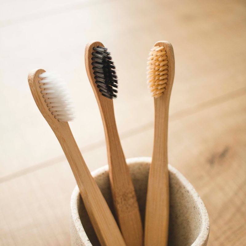 bamboo toothbrushes in a toothbrush holder