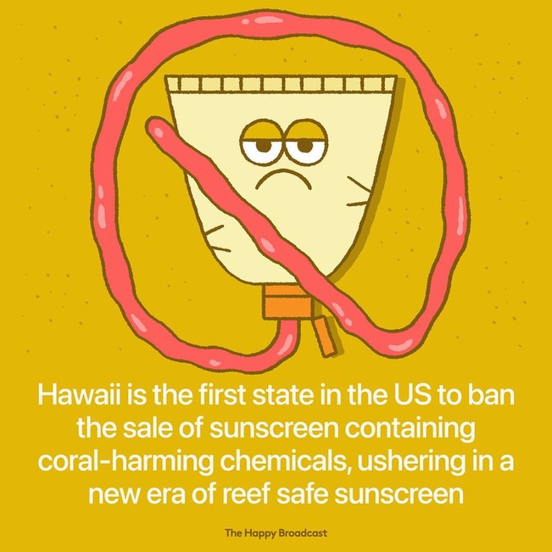 Hawaii sunscreen ban